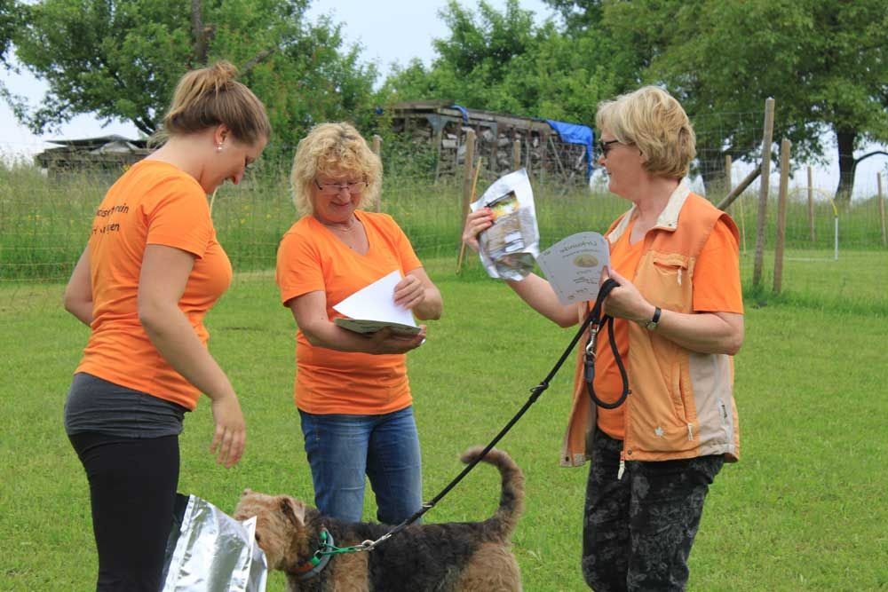 Februar 2016 – Hunderennen