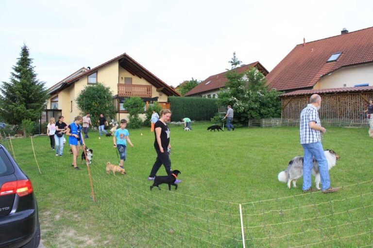 Bild 101
