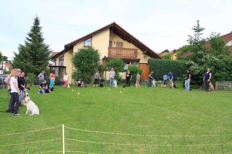 Bild 104
