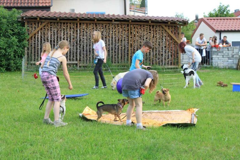 Bild 86