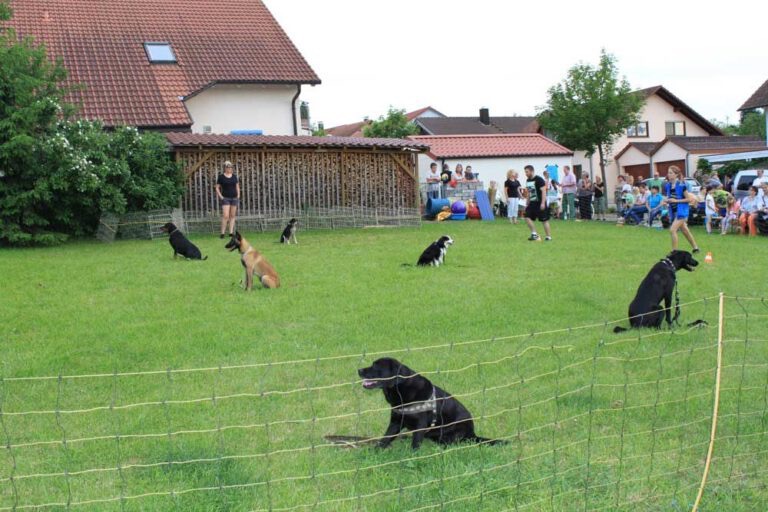 Bild 93