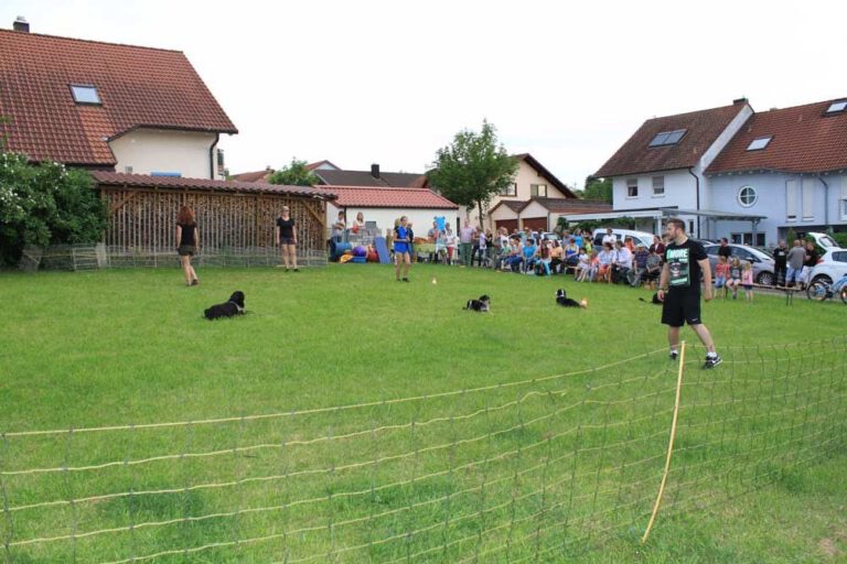 Bild 94