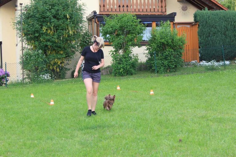 Bild 97