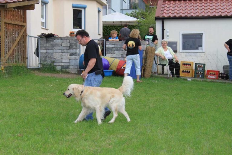 Bild 98
