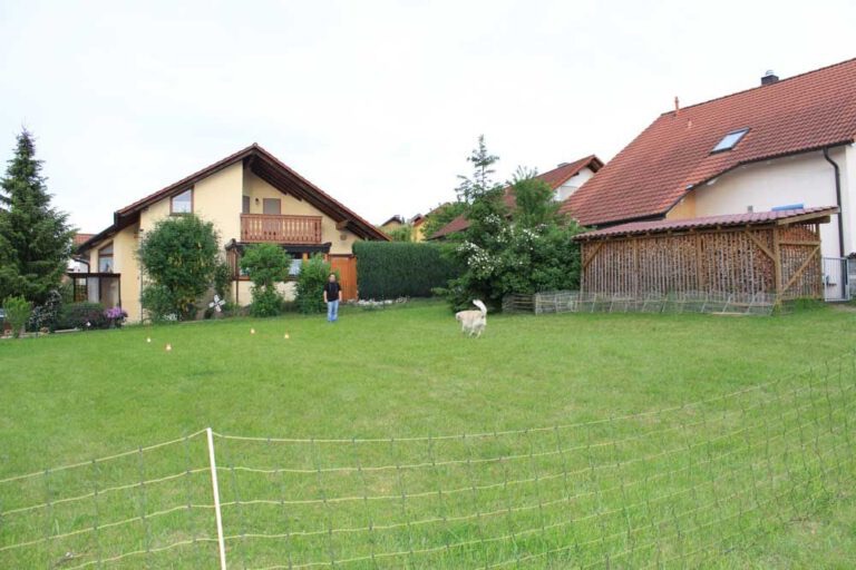 Bild 99