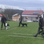 IMG_6907