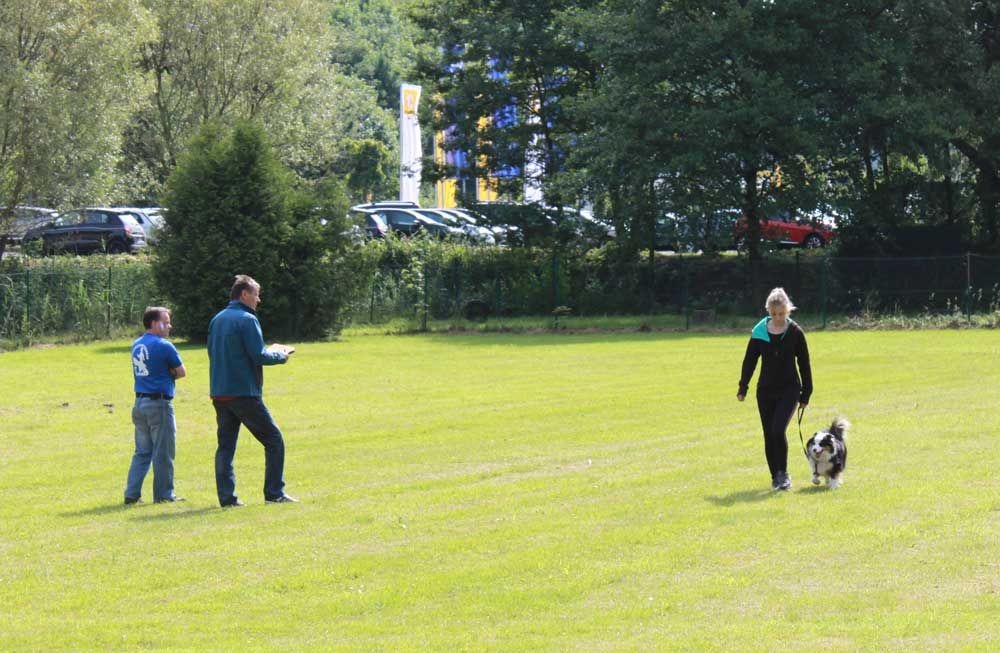 imgi_101_teamtest-ettlingen-2016-2