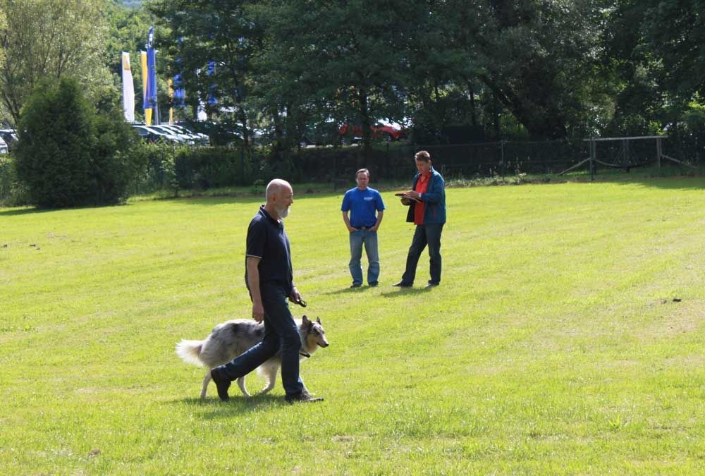 imgi_105_teamtest-ettlingen-2016-4