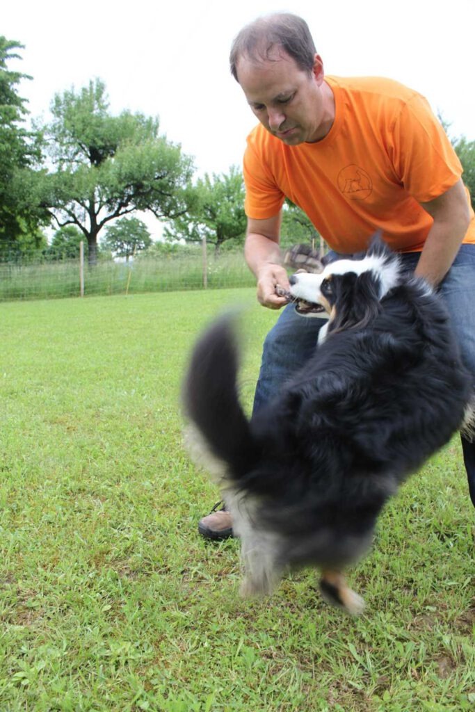 imgi_118_hunderennen-2016-35-683x1024