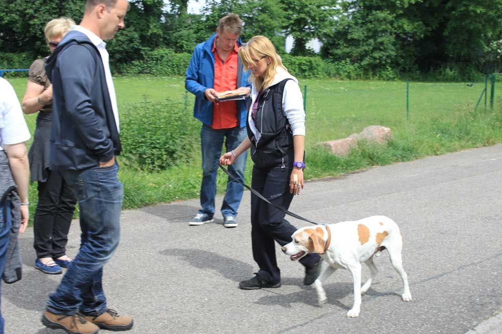 imgi_119_teamtest-ettlingen-2016-11