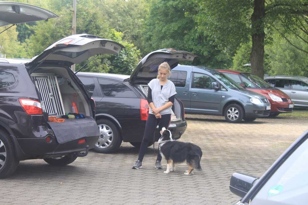 imgi_121_teamtest-ettlingen-2016-12