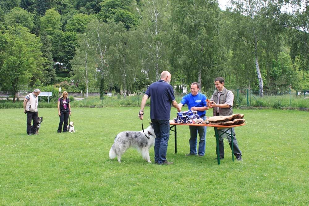 imgi_133_teamtest-ettlingen-2016-18