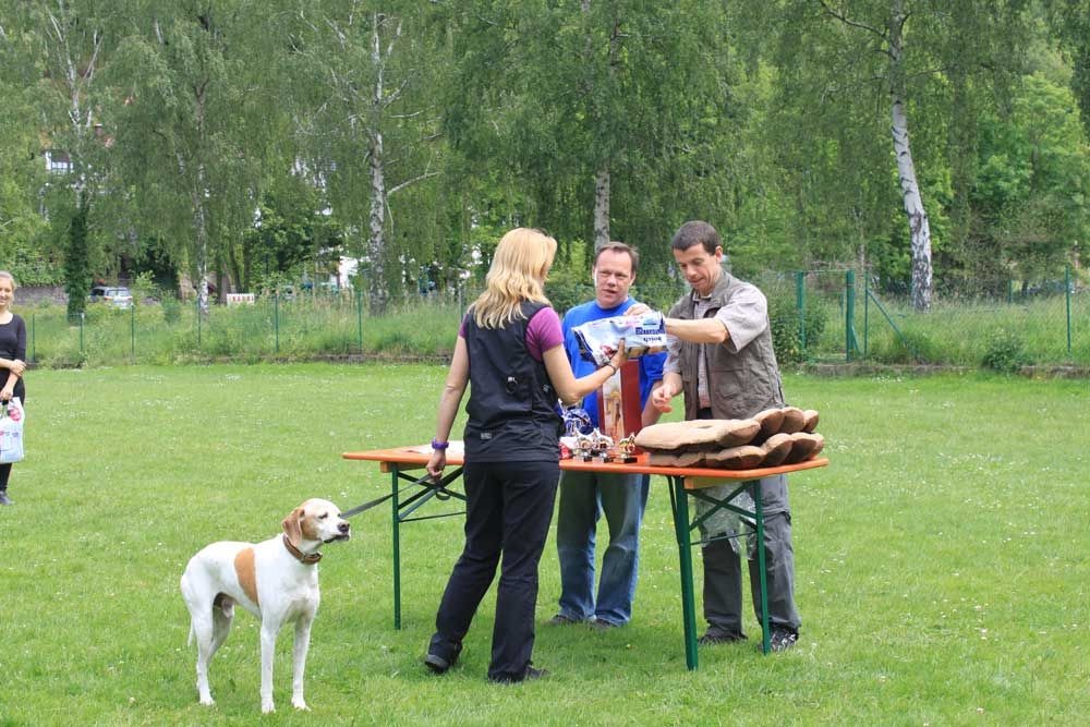 imgi_137_teamtest-ettlingen-2016-20