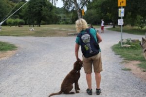imgi_13_galerie-2018-enzauenpark-12-300x200