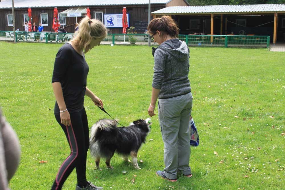 imgi_141_teamtest-ettlingen-2016-22