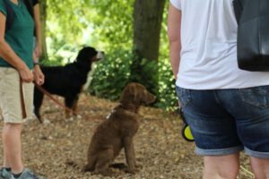 imgi_16_galerie-2018-enzauenpark-15-300x200
