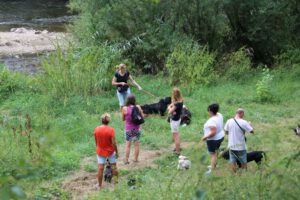 imgi_20_galerie-2018-enzauenpark-19-300x200