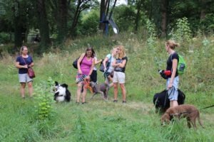imgi_21_galerie-2018-enzauenpark-20-300x200