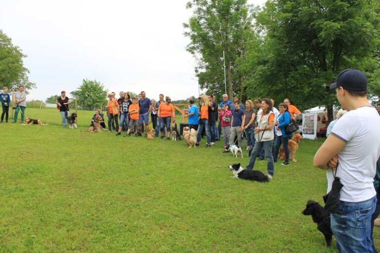 imgi_292_hunderennen-2016-44