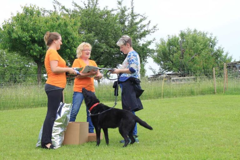 imgi_293_hunderennen-2016-45