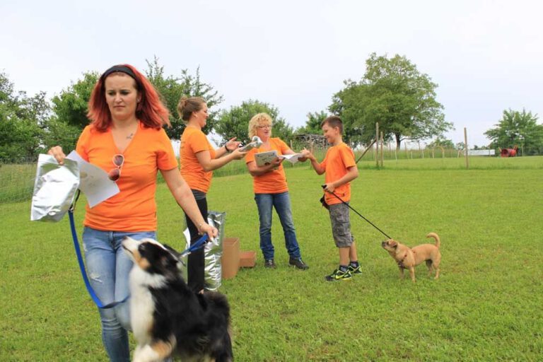 imgi_296_hunderennen-2016-48