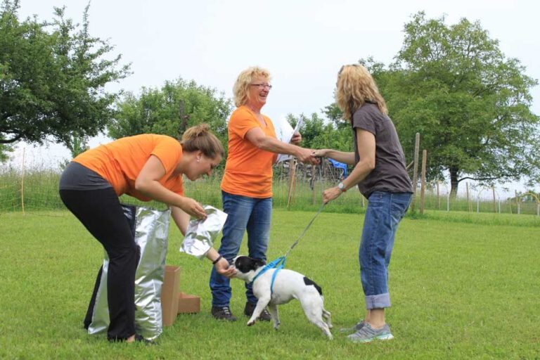 imgi_301_hunderennen-2016-53