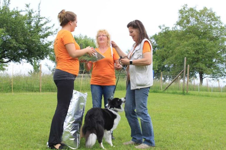 imgi_304_hunderennen-2016-56