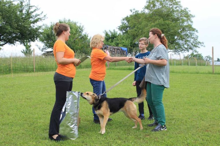 imgi_312_hunderennen-2016-64