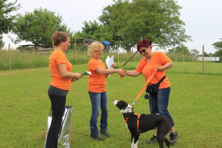 imgi_313_hunderennen-2016-65