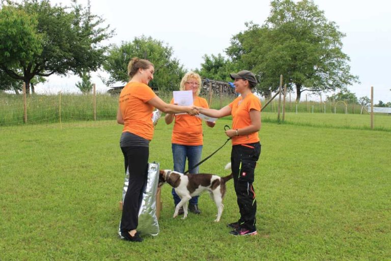 imgi_315_hunderennen-2016-67