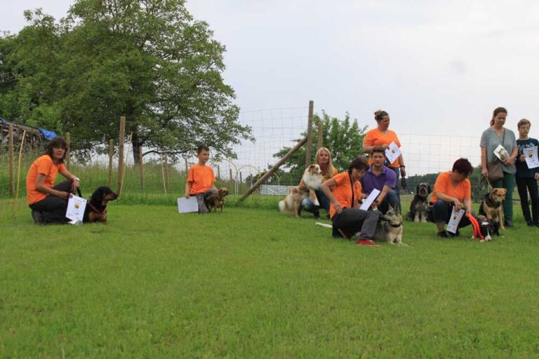 imgi_318_hunderennen-2016-70