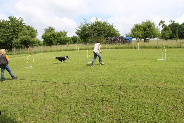 imgi_324_hunderennen-2016-76