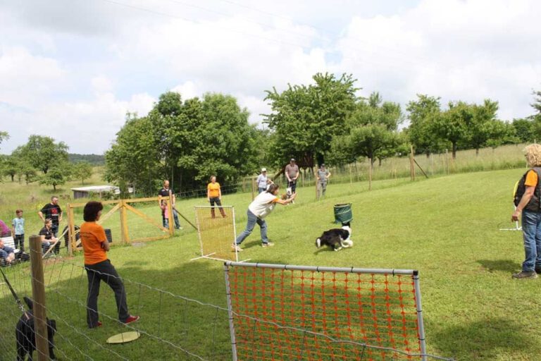 imgi_326_hunderennen-2016-78