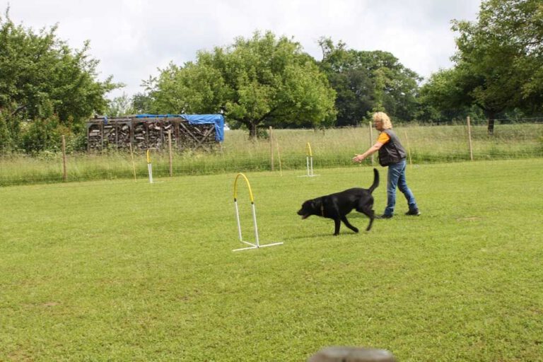 imgi_329_hunderennen-2016-81