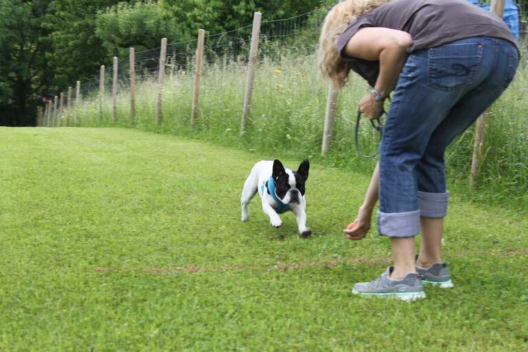 imgi_349_hunderennen-2016-6