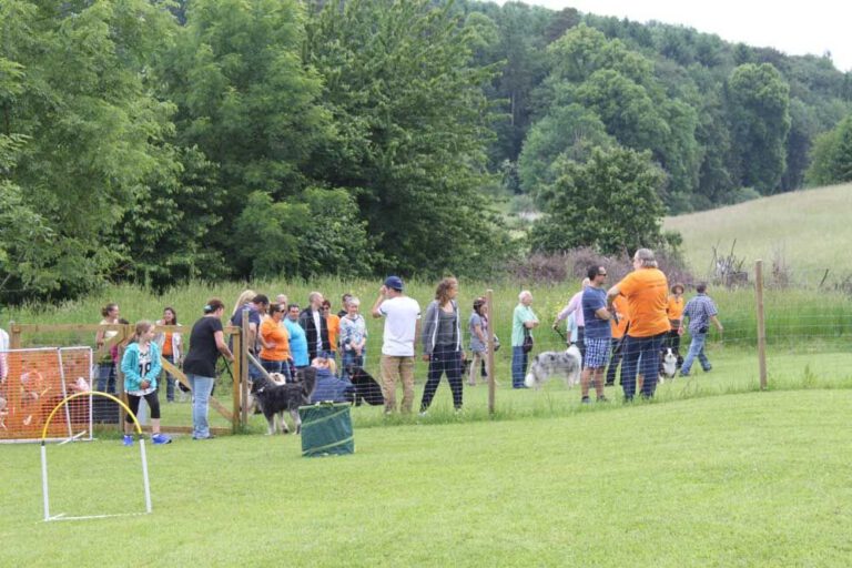 imgi_403_hunderennen-2016-33
