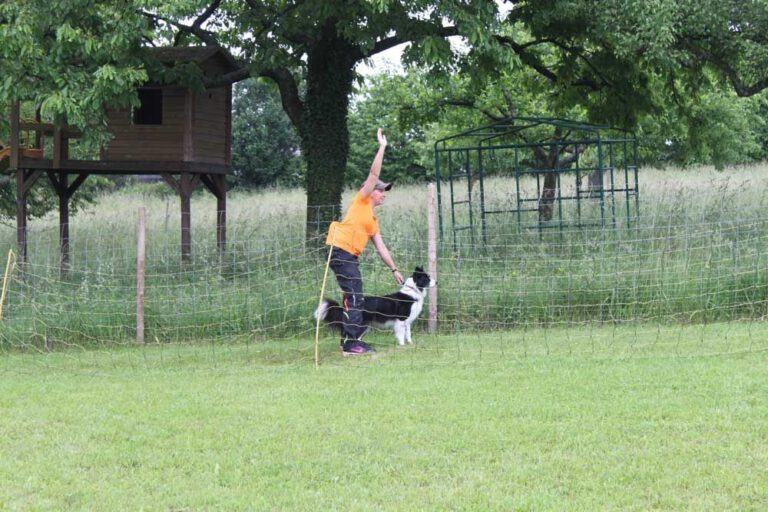 imgi_405_hunderennen-2016-34