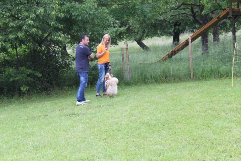 imgi_413_hunderennen-2016-37