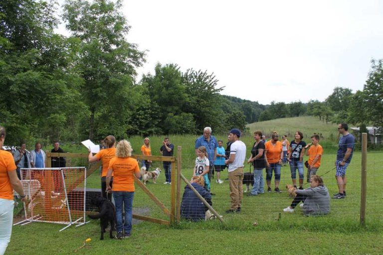 imgi_415_hunderennen-2016-38