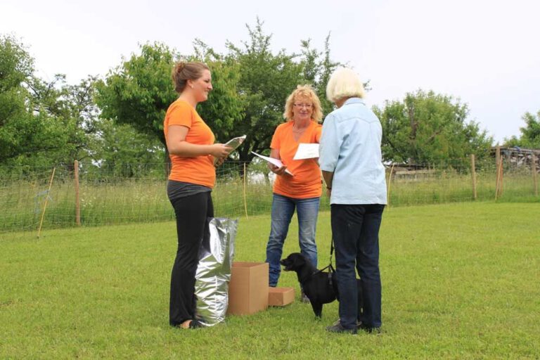 imgi_433_hunderennen-2016-47