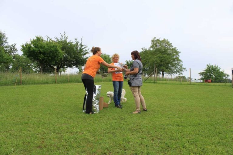 imgi_437_hunderennen-2016-49