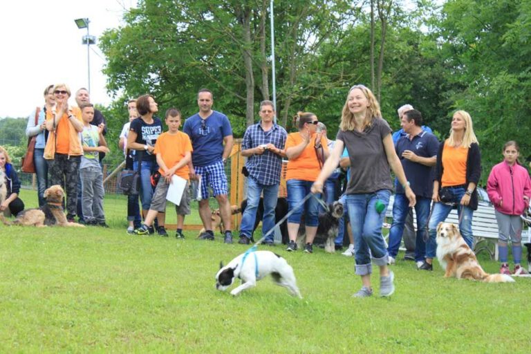 imgi_443_hunderennen-2016-52