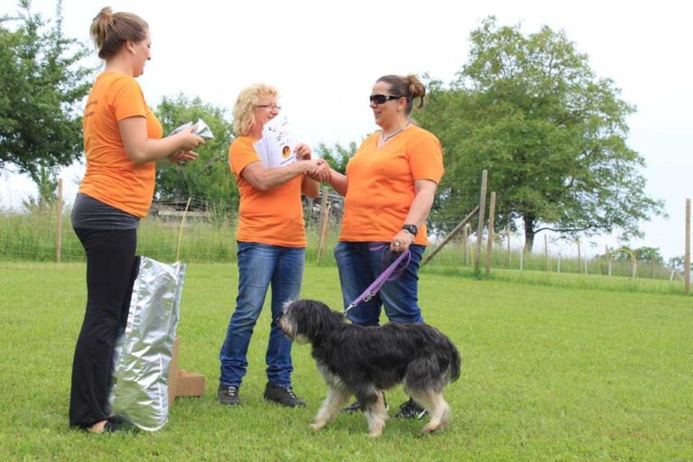 imgi_447_hunderennen-2016-54