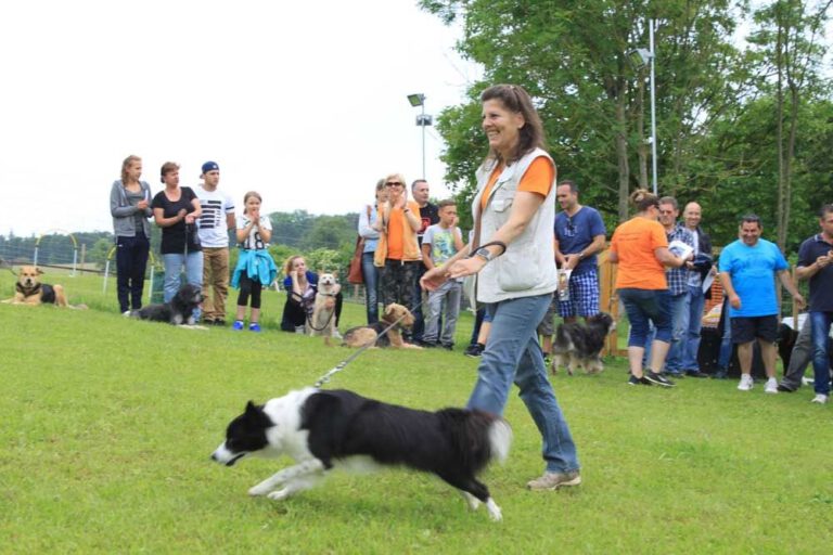 imgi_449_hunderennen-2016-55
