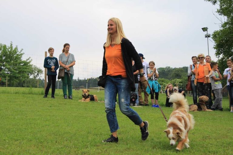 imgi_453_hunderennen-2016-57