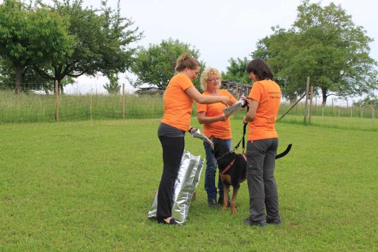 imgi_461_hunderennen-2016-61