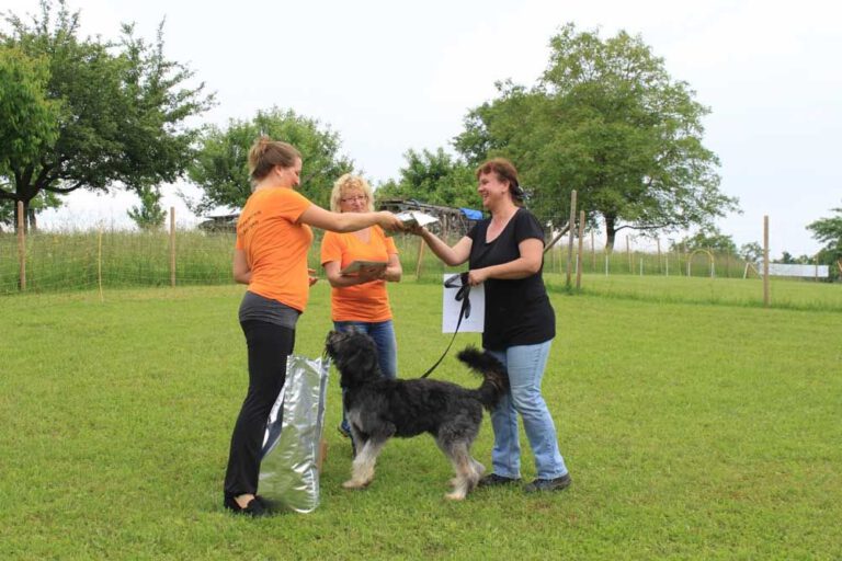 imgi_465_hunderennen-2016-63