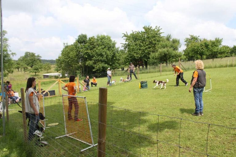imgi_493_hunderennen-2016-77