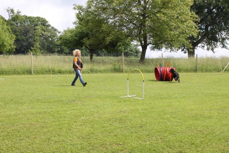 imgi_499_hunderennen-2016-80
