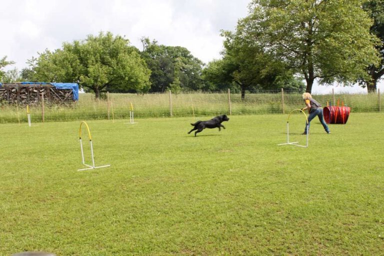 imgi_503_hunderennen-2016-82